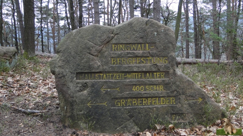 Ritterstein Nr. 252-1 Ringwall - Bergfestung - Hallstattzeit - Mittelalter - 400 Schr. Gräberfelder.JPG - Ritterstein Nr.252 Ringwall - Bergfestung - Hallstattzeit - Mittelalter - 400 Schr. Gräberfelder